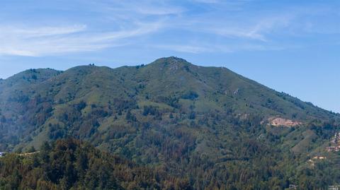 52 Cypress Ave, Mill Valley, CA 94941 photo 27