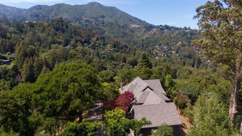 52 Cypress Ave, Mill Valley, CA 94941 photo 6