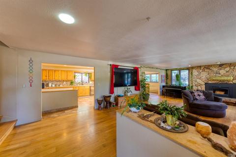 3100 Ridgewood Rd, Willits, CA 95490 photo 4