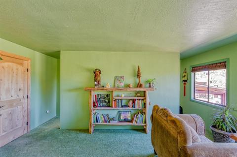 3100 Ridgewood Rd, Willits, CA 95490 photo 22