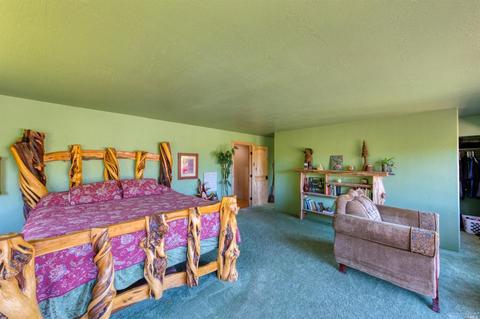 3100 Ridgewood Rd, Willits, CA 95490 photo 21