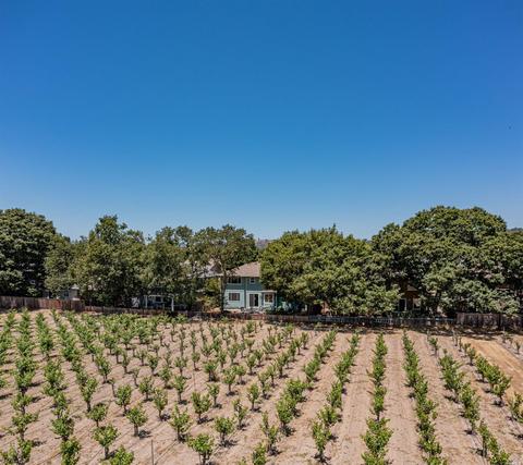 562 Peppertree Dr, Windsor, CA 95492 photo 40