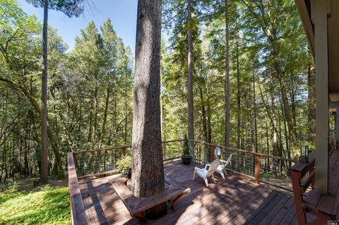 25040 Cobb Dr, Willits, CA 95490 photo 38