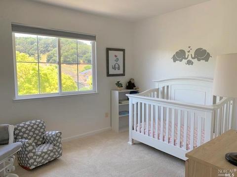 262 Windsor Dr, Petaluma, CA 94952 photo 32