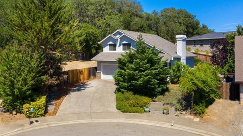 108 Chardonnay Ct, Cloverdale, CA 95425 photo 1