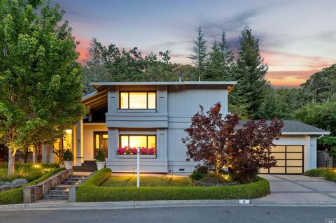 9 Caddy Ct, Novato, CA 94949 photo 1
