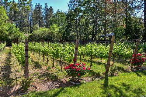 330 Diogenes Dr, Angwin, CA 94508 photo 34
