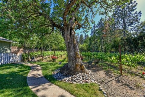 330 Diogenes Dr, Angwin, CA 94508 photo 43