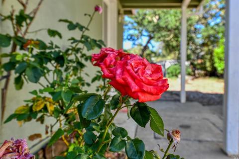 330 Diogenes Dr, Angwin, CA 94508 photo 47