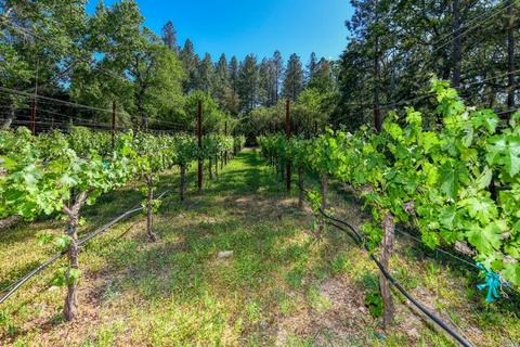 330 Diogenes Dr, Angwin, CA 94508 photo 42