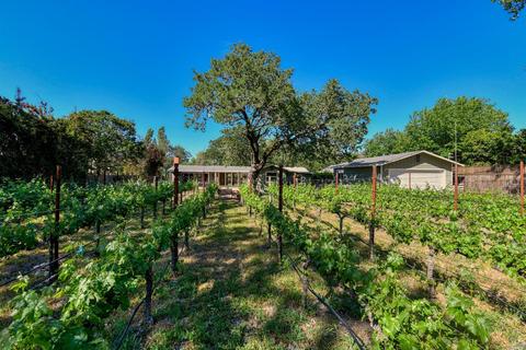 330 Diogenes Dr, Angwin, CA 94508 photo 40