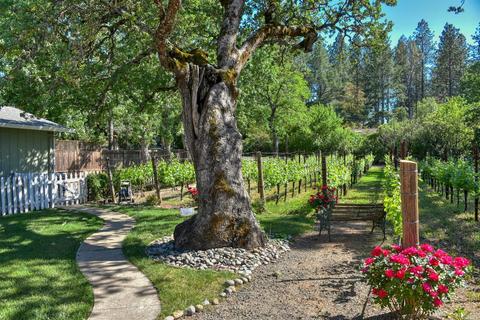 330 Diogenes Dr, Angwin, CA 94508 photo 32