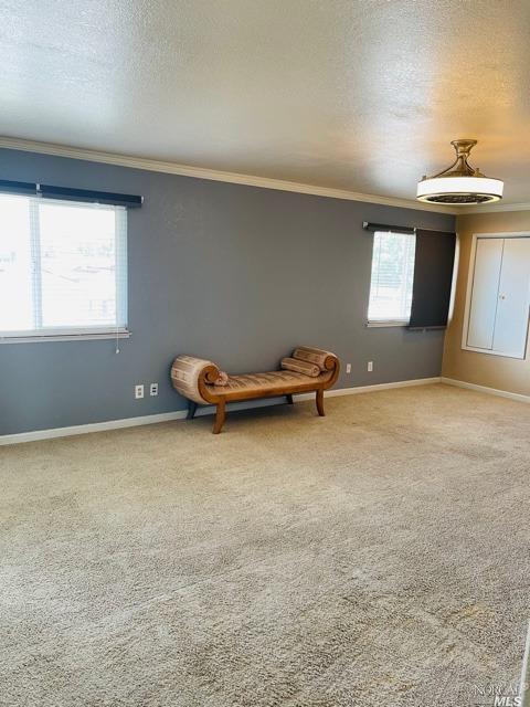 3411 Springfield Dr, Fairfield, CA 94534 photo 36
