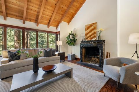 28 Marsh Dr, Mill Valley, CA 94941 photo 18