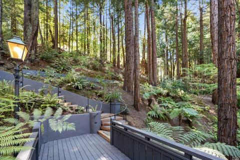 28 Marsh Dr, Mill Valley, CA 94941 photo 75