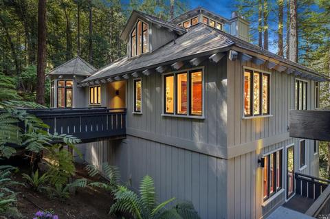 28 Marsh Dr, Mill Valley, CA 94941 photo 93