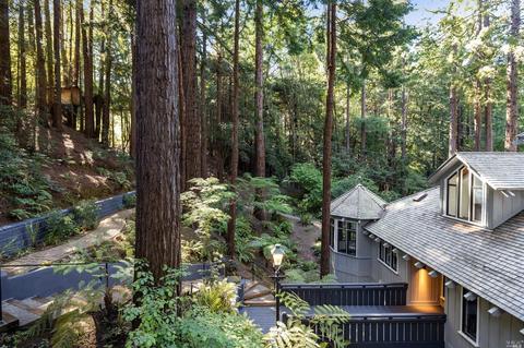 28 Marsh Dr, Mill Valley, CA 94941 photo 92