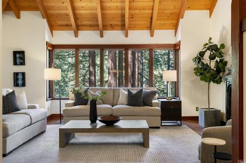28 Marsh Dr, Mill Valley, CA 94941 photo 16