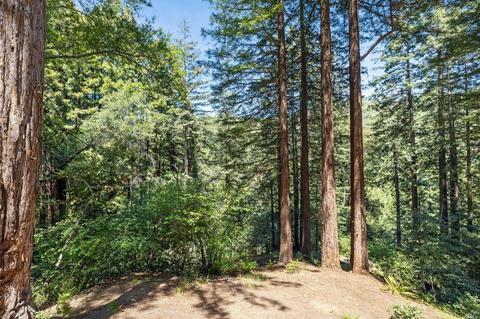 28 Marsh Dr, Mill Valley, CA 94941 photo 73