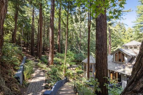 28 Marsh Dr, Mill Valley, CA 94941 photo 12