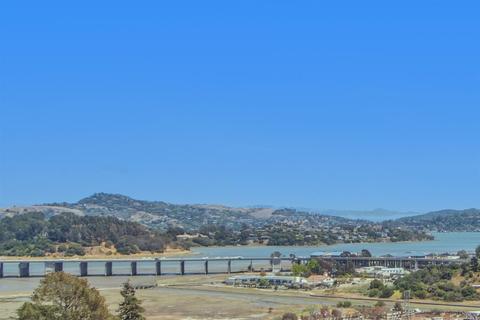 287 Greene St, Mill Valley, CA 94941 photo 45