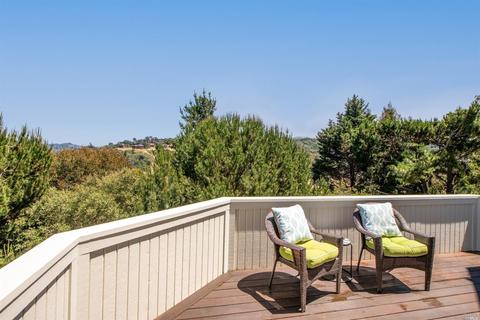 287 Greene St, Mill Valley, CA 94941 photo 33