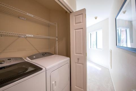 287 Greene St, Mill Valley, CA 94941 photo 29