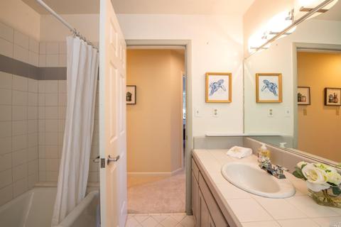 287 Greene St, Mill Valley, CA 94941 photo 24