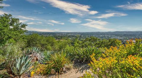 653 Montecito Blvd, Napa, CA 94559 photo 4