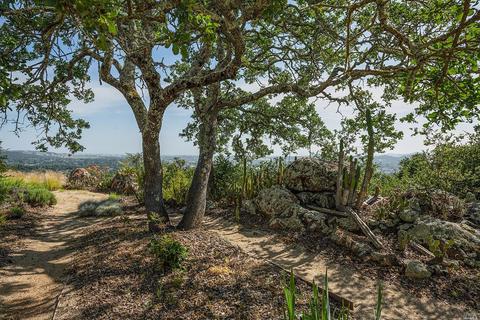653 Montecito Blvd, Napa, CA 94559 photo 48