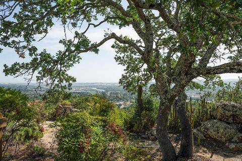 653 Montecito Blvd, Napa, CA 94559 photo 47