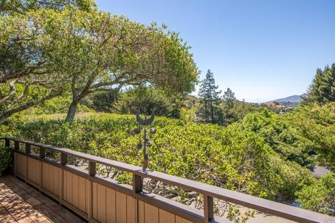 3 Madrono Ave, Corte Madera, CA 94925 photo 42