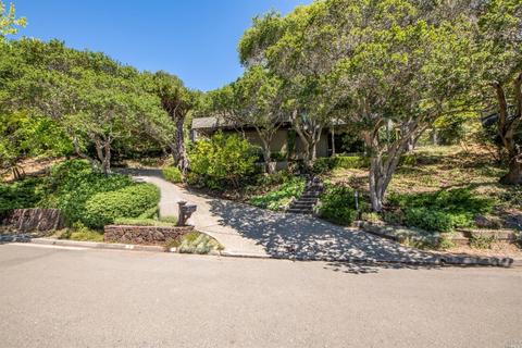 3 Madrono Ave, Corte Madera, CA 94925 photo 52