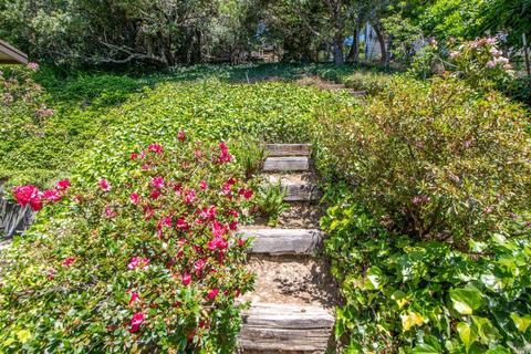 3 Madrono Ave, Corte Madera, CA 94925 photo 51