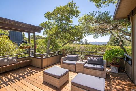 3 Madrono Ave, Corte Madera, CA 94925 photo 38