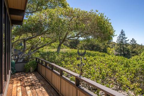 3 Madrono Ave, Corte Madera, CA 94925 photo 41