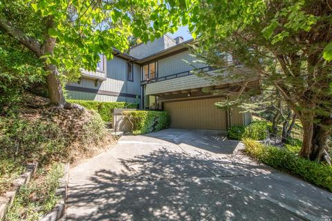 3 Madrono Ave, Corte Madera, CA 94925 photo 48