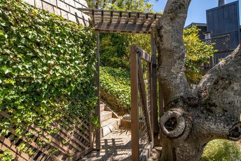 3 Madrono Ave, Corte Madera, CA 94925 photo 47