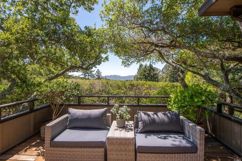 3 Madrono Ave, Corte Madera, CA 94925 photo 39