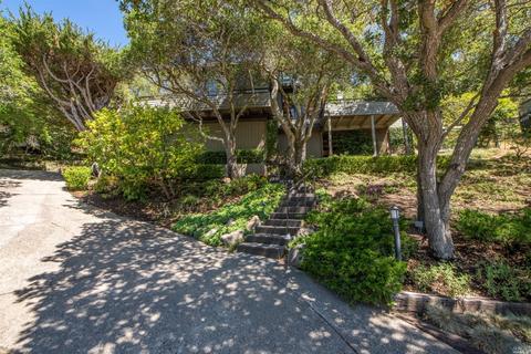 3 Madrono Ave, Corte Madera, CA 94925 photo 49