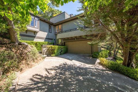 3 Madrono Ave, Corte Madera, CA 94925 photo 50
