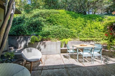 3 Madrono Ave, Corte Madera, CA 94925 photo 43