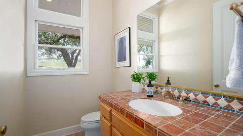 150 Old Vine Ln, Windsor, CA 95492 photo 28