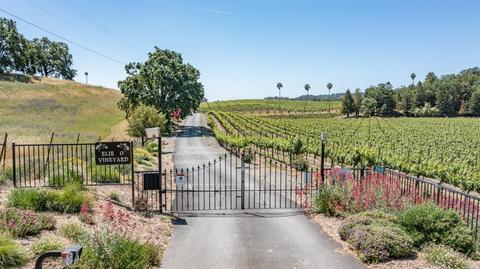 150 Old Vine Ln, Windsor, CA 95492 photo 44