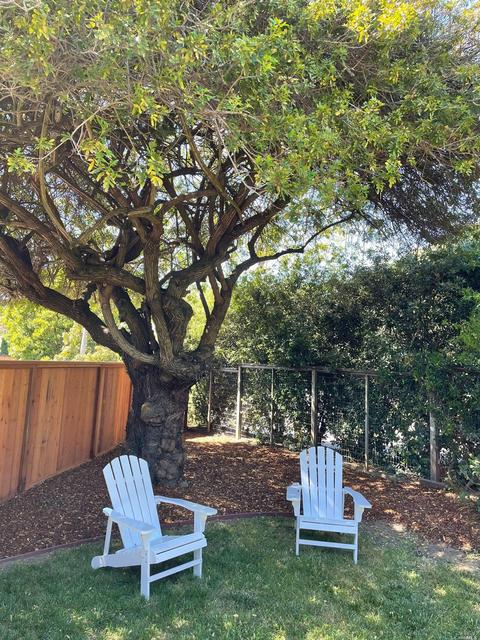 2 Walker Rd, Mill Valley, CA 94941 photo 17