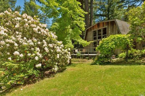 37037 Annapolis Rd, Annapolis, CA 95412 photo 36