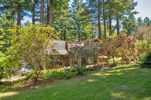 37037 Annapolis Rd, Annapolis, CA 95412 photo 6
