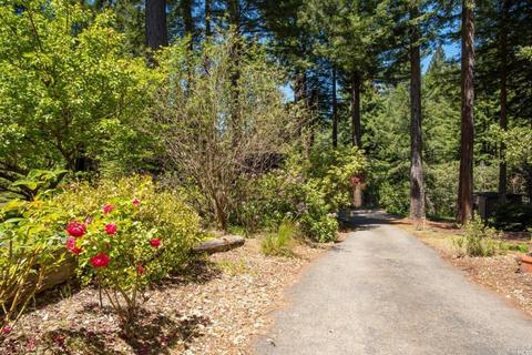 37037 Annapolis Rd, Annapolis, CA 95412 photo 44