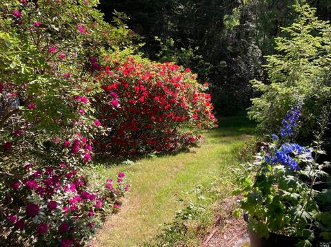 37037 Annapolis Rd, Annapolis, CA 95412 photo 33