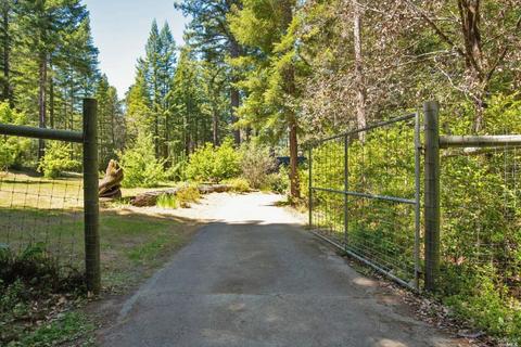 37037 Annapolis Rd, Annapolis, CA 95412 photo 45